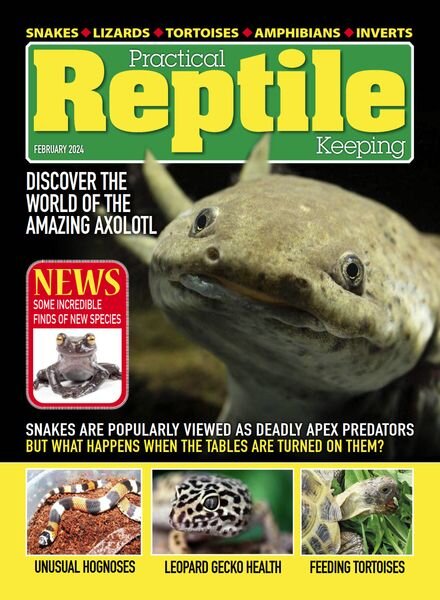 Practical Reptile Keeping – February 2024 Cover
