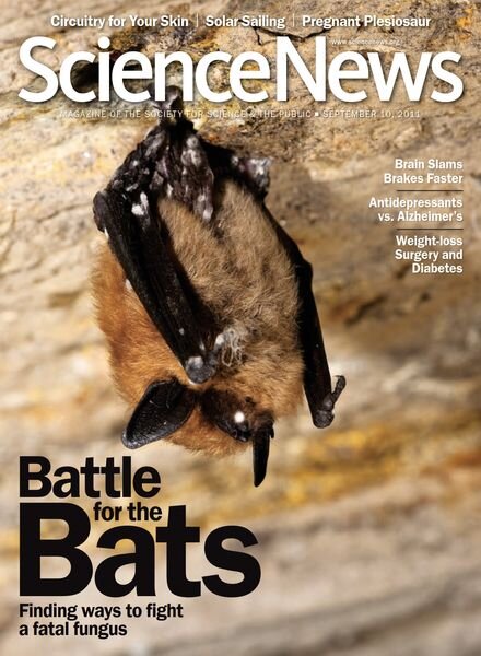Science News – 10 September 2011 Cover