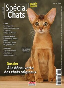 Special Chats – Avril-Mai-Juin 2024
