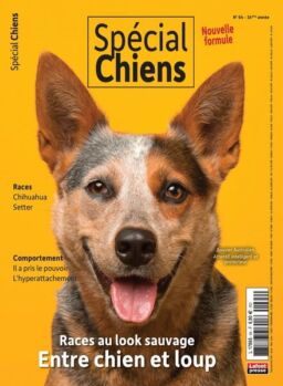 Special Chiens – Avril-Mai-Juin 2024