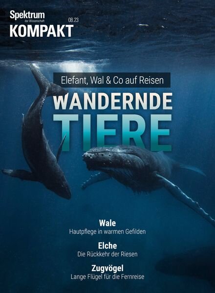Spektrum Kompakt – Wandernde Tiere – 27 Februar 2024 Cover