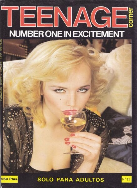 Teenage Corner – N 11 Cover