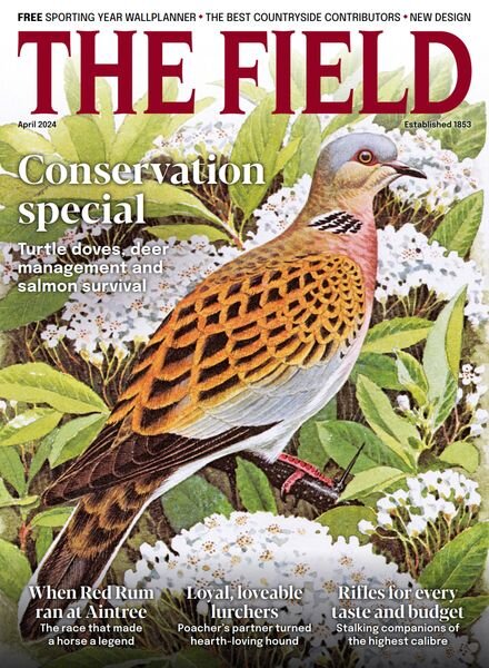 The Field – April 2024 Cover