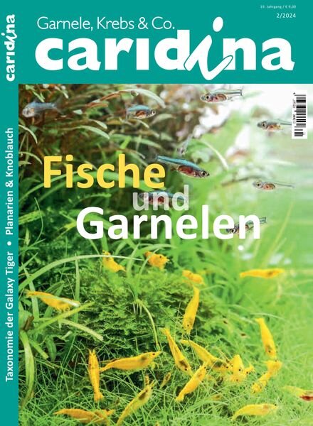 Caridina – April 2024 Cover