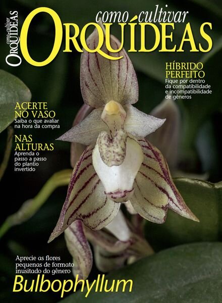 Como Cultivar Orquideas – Abril 2024 Cover
