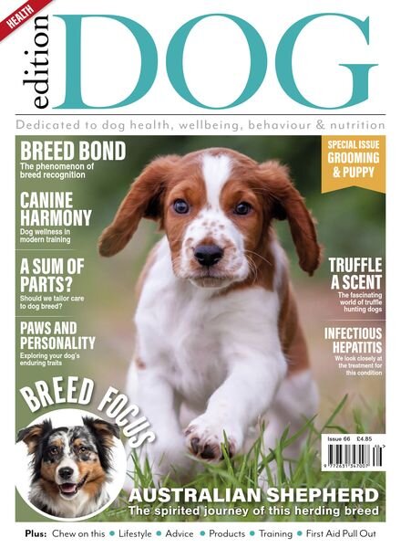 Edition Dog – Issue 66 – 30 March 2024 Cover