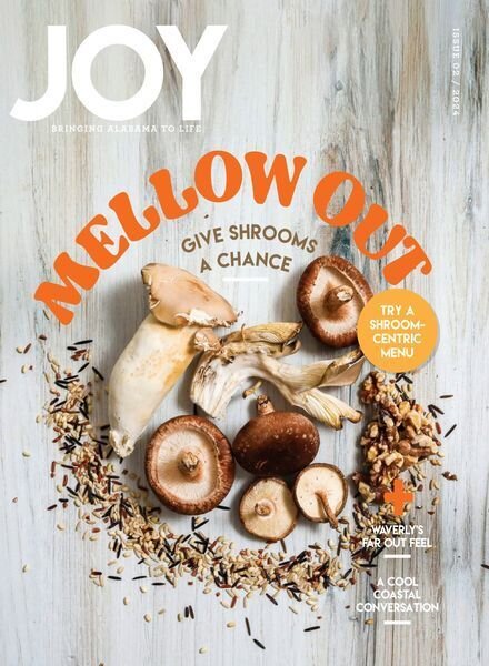 JOY Magazine – Issue 2 Spring 2024 Cover
