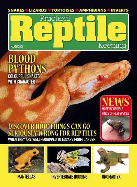 Practical Reptile Keeping – March 2024 Cover
