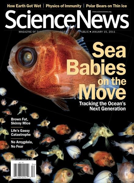 Science News – 15 January 2011 Cover