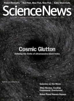 Science News – 25 October 2008