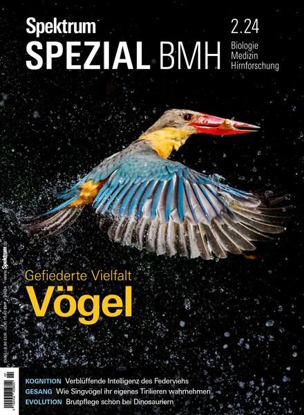 Spektrum Spezial – 19 April 2024 Cover