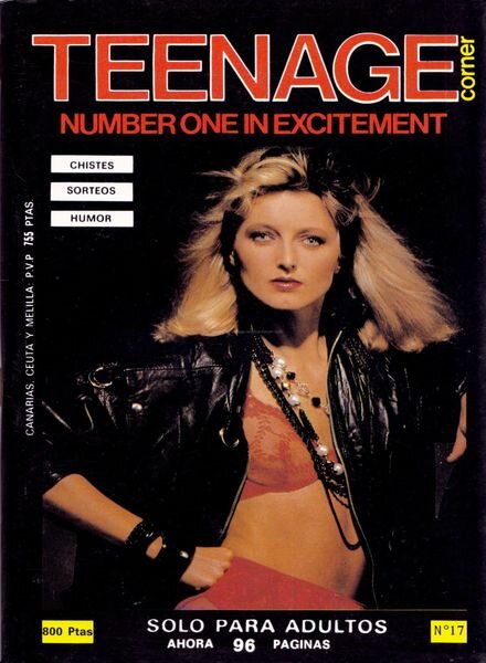 Teenage Corner – N 17 Cover