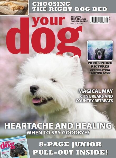 Your Dog – May 2024 Cover