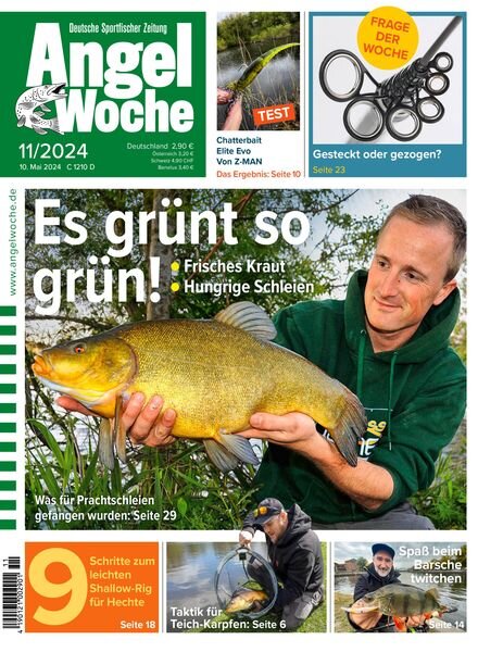 Angel Woche – 10 Mai 2024 Cover