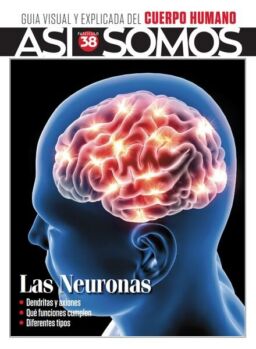 Asi Somos El cuerpo humano – Fasciculo 5-2024