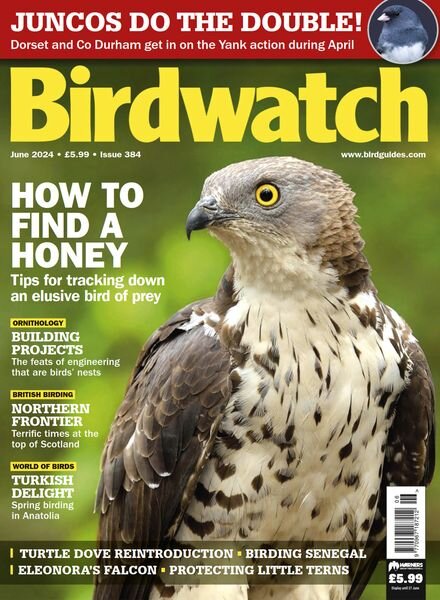 Birdwatch UK – June 2024 Cover