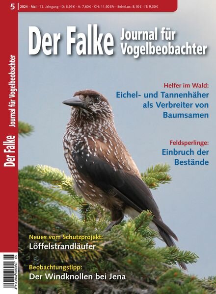 Der Falke Journal fur Vogelbeobachter – Mai 2024 Cover