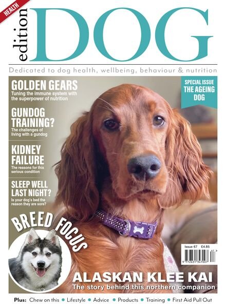 Edition Dog – Issue 67 – May 2024 Cover