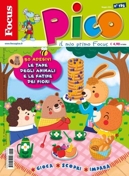 Focus Pico – 10 Maggio 2024 Cover