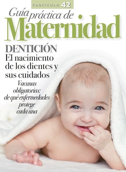 Guia practica de Maternidad – Fasciculo 5 2024 Cover