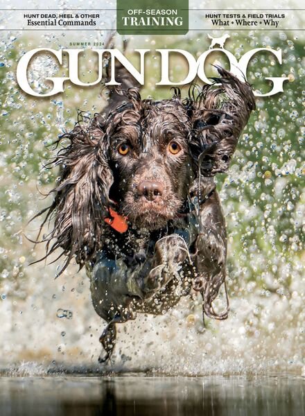 Gun Dog – June-July-August-Summer 2024 Cover