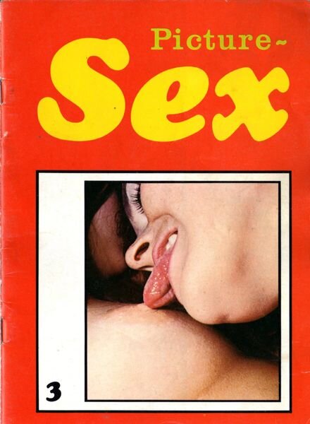 Picture-Sex – N 3 1970 Cover