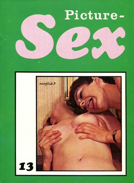 Picture Sex Sweden – N 13 1970 Cover