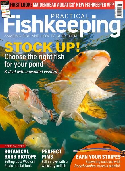 Practical Fishkeeping – June 2024 Cover