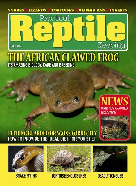 Practical Reptile Keeping – April 2024 Cover
