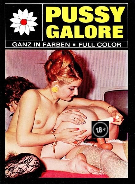 Pussy Galore – N 8 1970 Cover