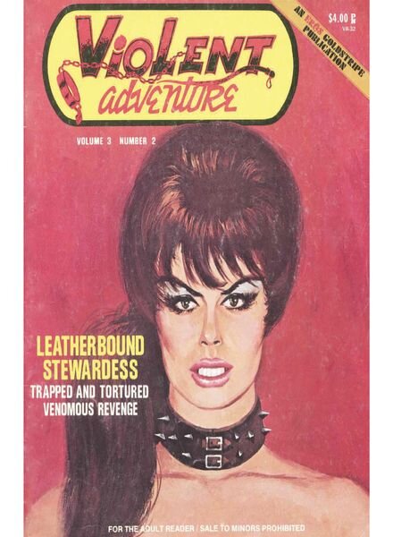 Violent Adventure – Volume 3 Number 2 Summer 1973 Cover