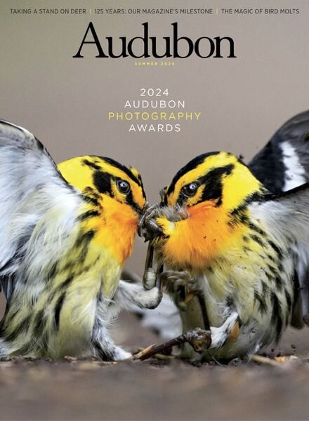 Audubon Magazine – Summer 2024 Cover