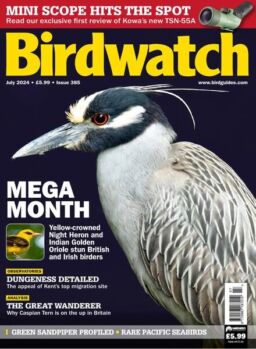 Birdwatch UK – Issue 385 – July 2024