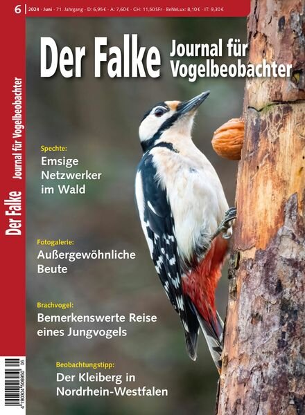 Der Falke Journal fur Vogelbeobachter – Juni 2024 Cover
