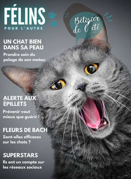 Felins pour l’autre – 1 Juin 2024 Cover