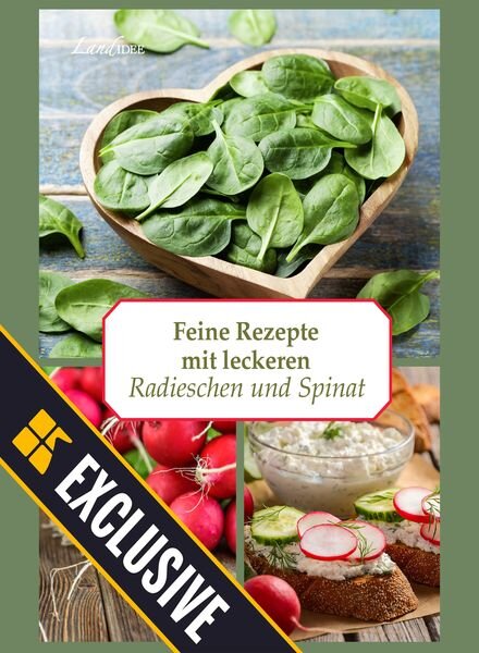 LandIDEE – 15 Juni 2024 Cover