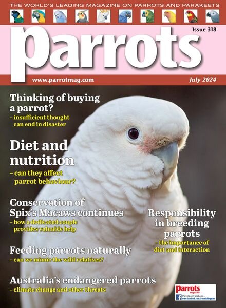 Parrots – July 2024 Cover