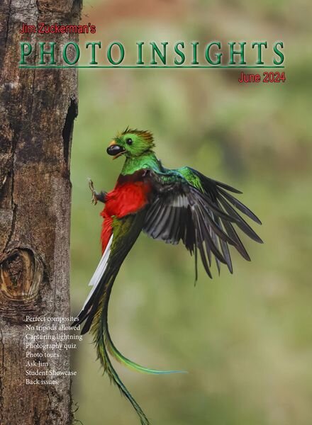 Photo Insights – June 2024 Cover