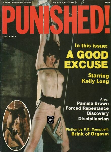 Punished! – Volume 1 Number 12 1984 Cover