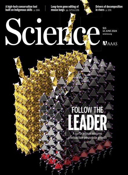 Science – 14 June 2024 Cover