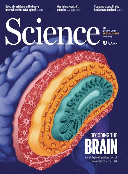 Science – 24 May 2024 Cover