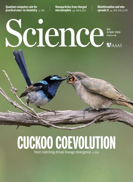 Science – 31 May 2024 Cover