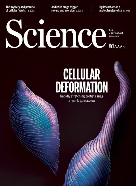 Science – 7 June 2024 Cover