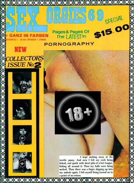 Sex Orgies 69 Special – N 2 1970 Cover