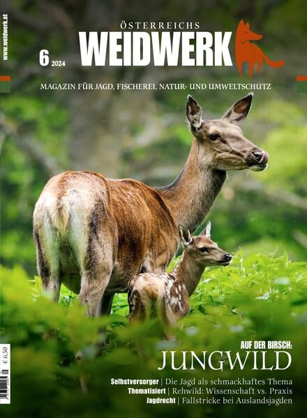 Weidwerk – Juni 2024 Cover