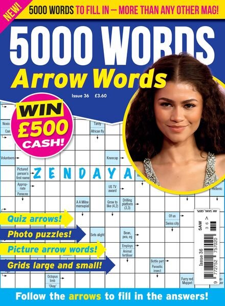 5000 Words Arrow words – Issue 36 2024 Cover