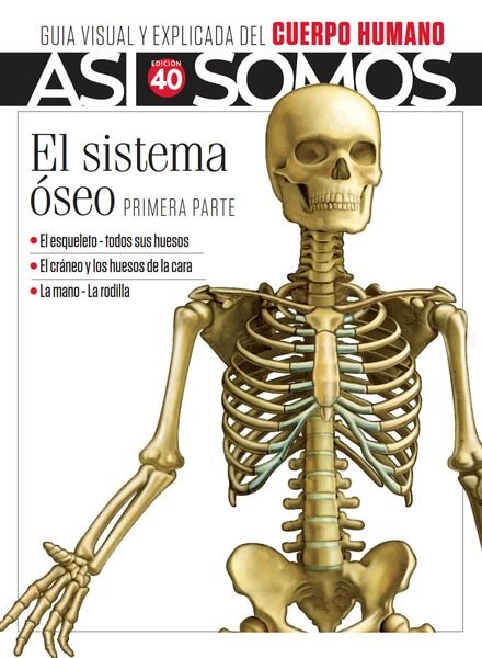 Asi Somos El cuerpo humano – Fasciculo 7 2024 Cover