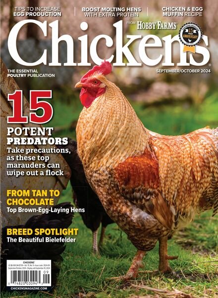 Chickens – September-October 2024 Cover
