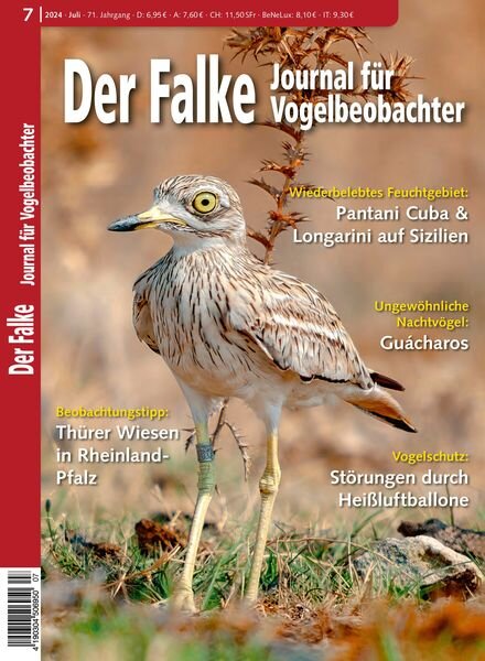 Der Falke Journal fur Vogelbeobachter – Juli 2024 Cover