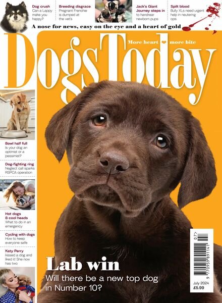 Dogs Today UK – July 2024 Cover
